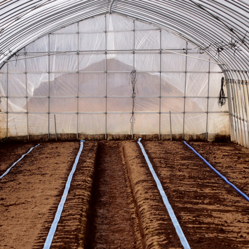 High-Quality Steel Frame Polytunnel for Greenhouse Farming