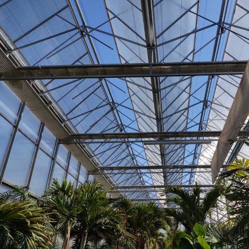 Large-Scale Greenhouse Structure for Vegetable Growth