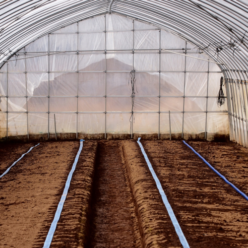 Polytunnel, Hoophouse, Greenhouse