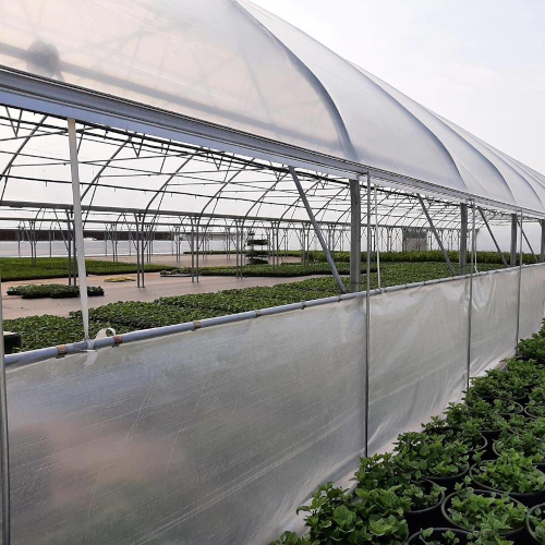 Weather-Resistant Polytunnel with Polycarbonate Cover