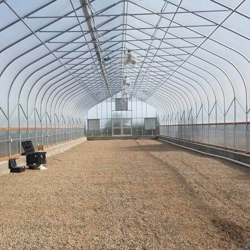 Zinc Galvanized Steel Polytunnel for Agriculture